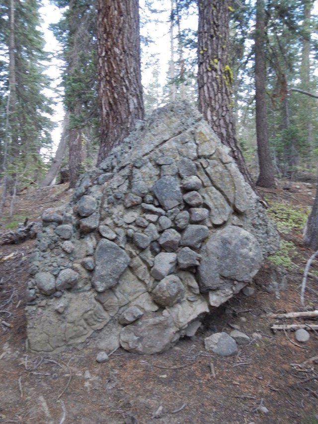 ...Hmm, how did this get here?