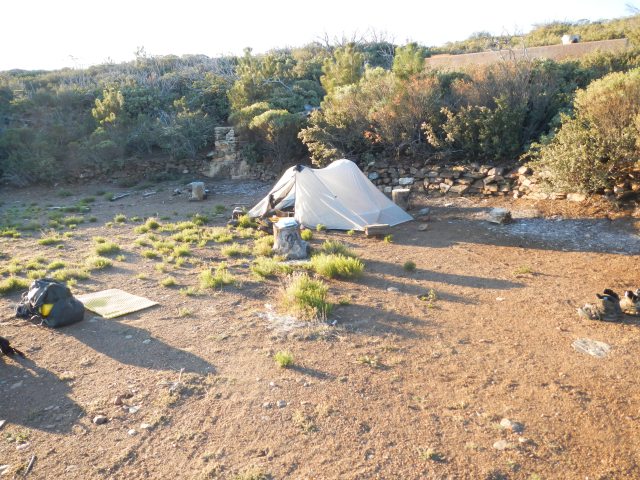 The morning after...peaceful