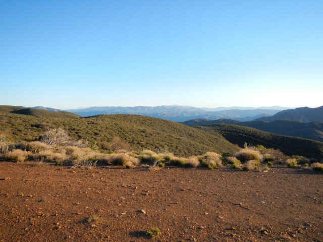 The morning after...