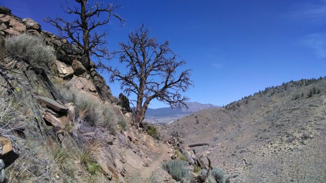 wp-1400707834637 image