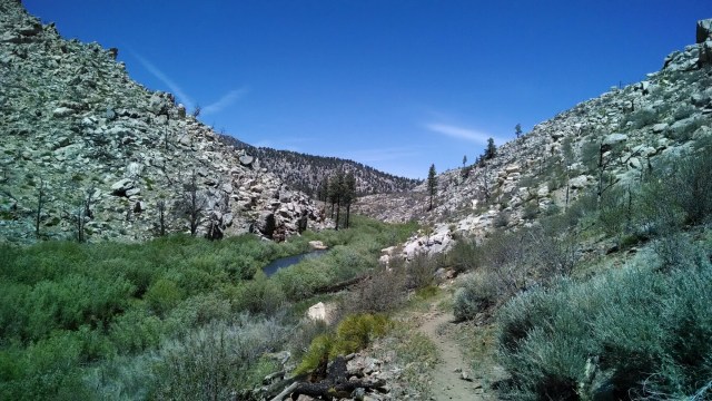 wp-1400707886697 image