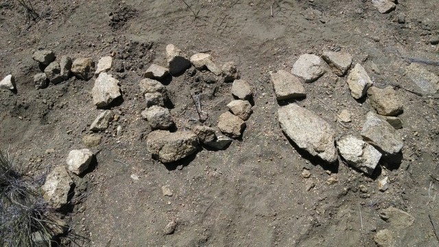 wp-1400708310437 image