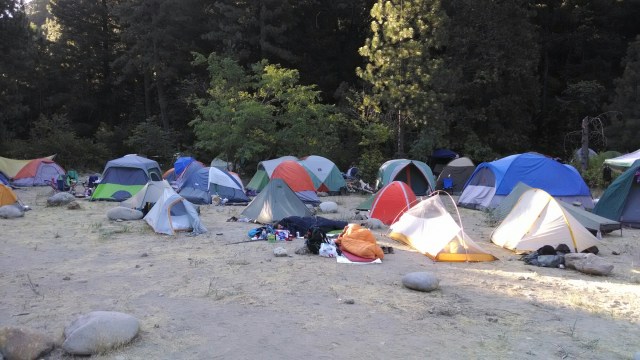 IMG_20140706_070251324.jpg image