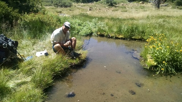 IMG_20140729_120345455.jpg image