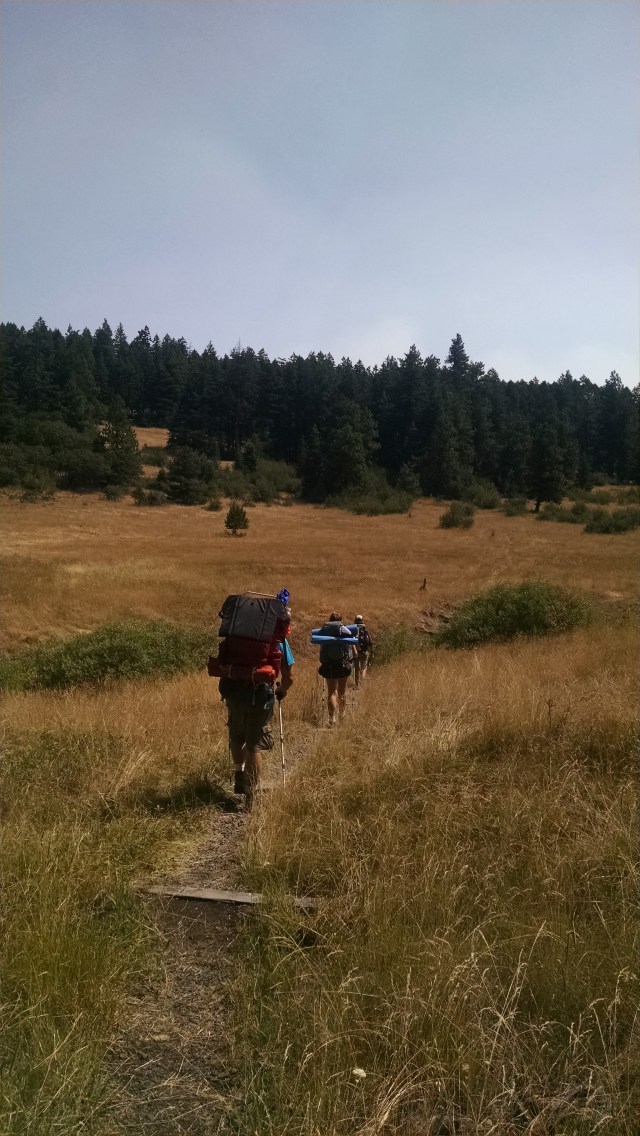 IMG_20140802_114045547.jpg image