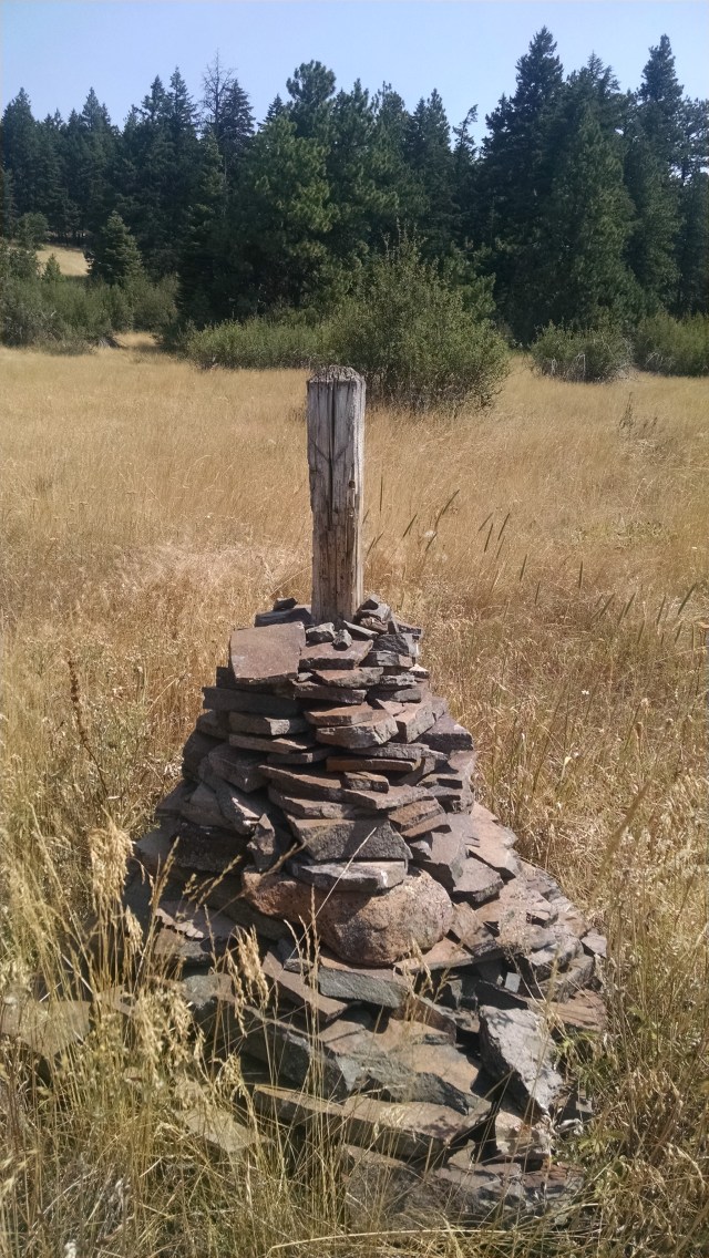 IMG_20140802_114301297.jpg image