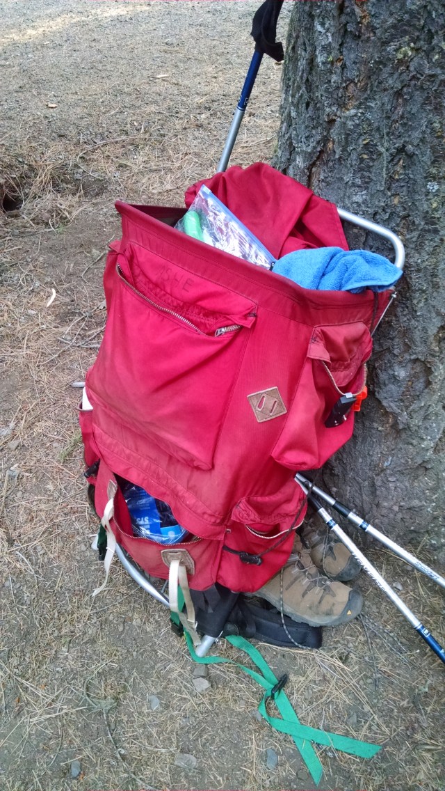 IMG_20140803_071507351.jpg image