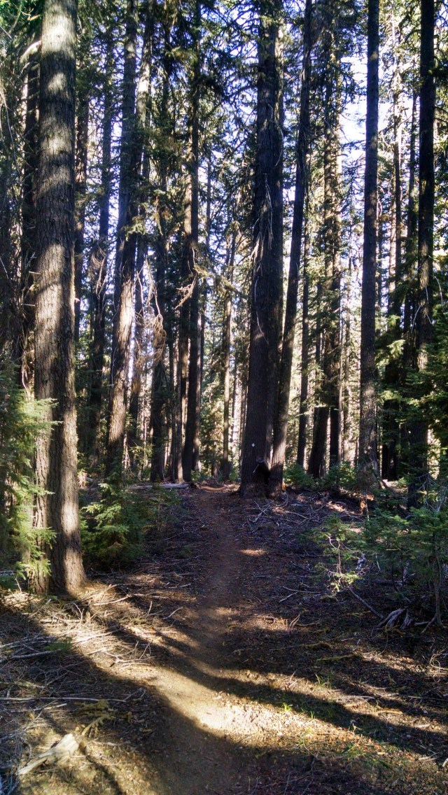 IMG_20140808_091713604_HDR.jpg image