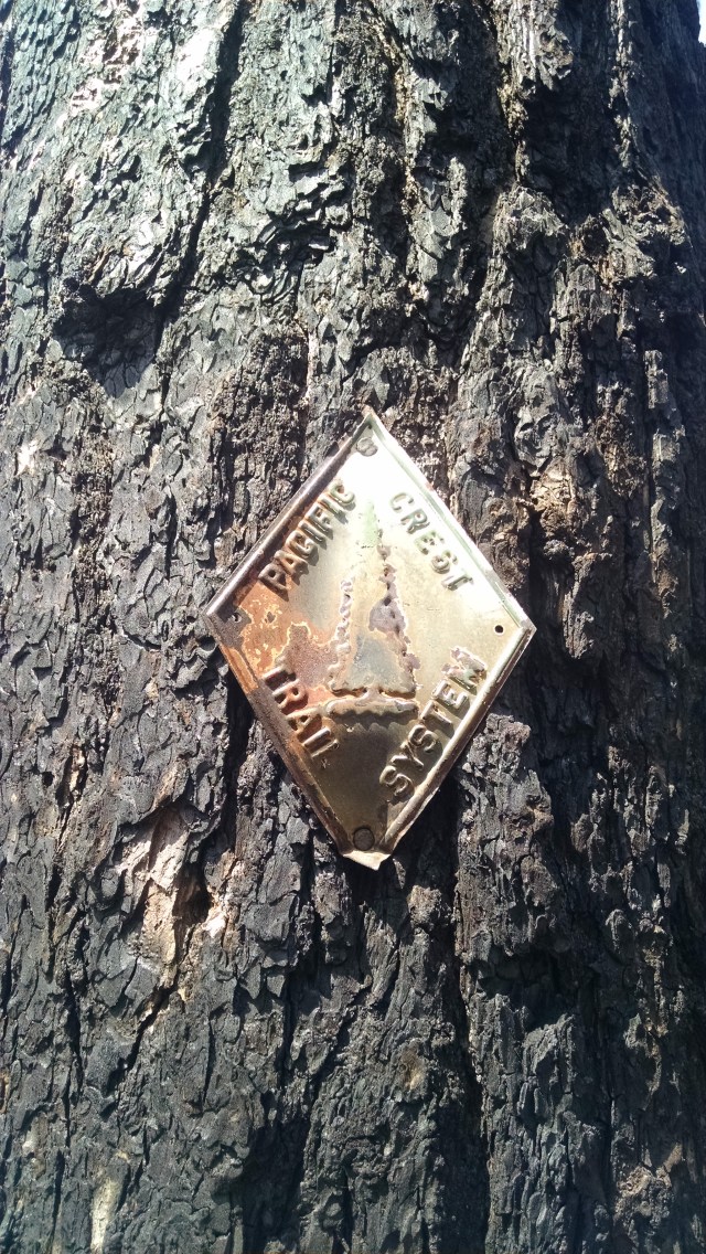 IMG_20140809_142224786.jpg image