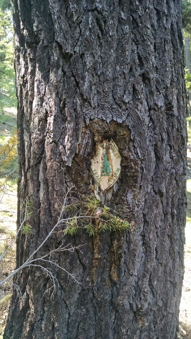 IMG_20140809_144639896.jpg image