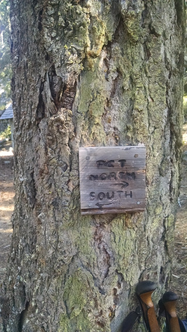 IMG_20140914_094716467.jpg image