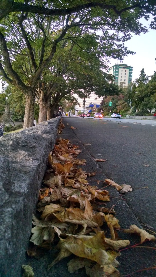 IMG_20140920_191453448_HDR.jpg image