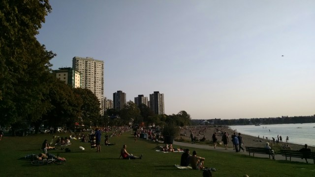 IMG_20140921_170045044.jpg image