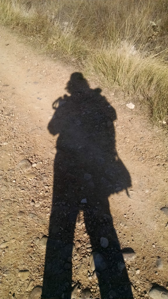 IMG_20150920_113126074