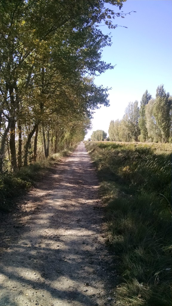 IMG_20150921_161505262