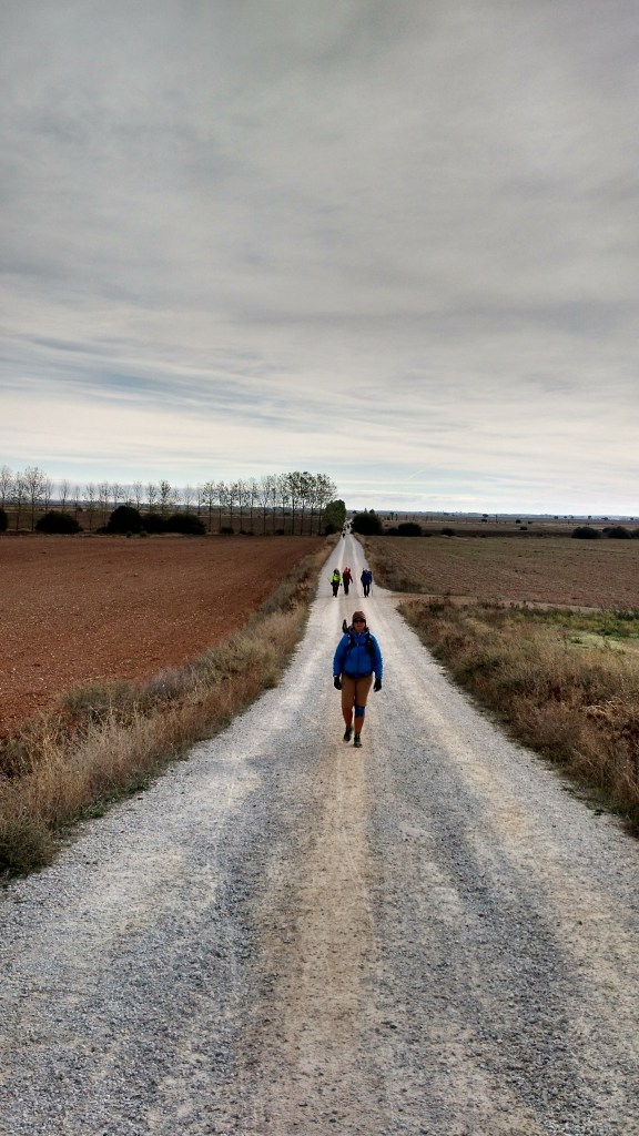 IMG_20150923_102648773_HDR