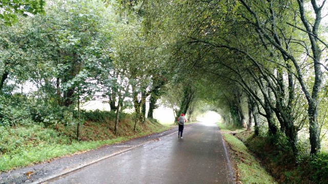 IMG_20151005_105949956