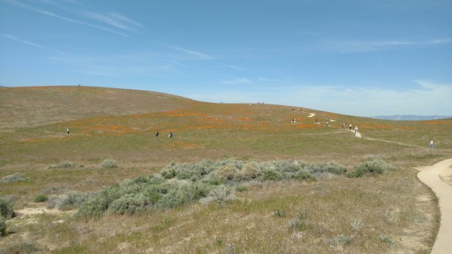 IMG_20170405_111335953