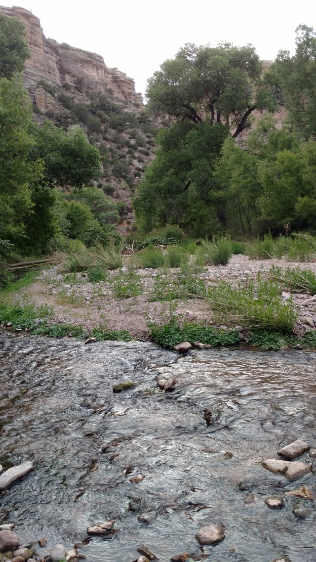 IMG_20170426_182301196