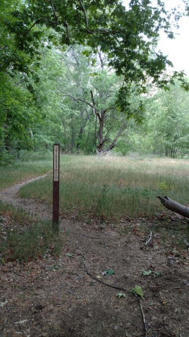 IMG_20170427_072405892