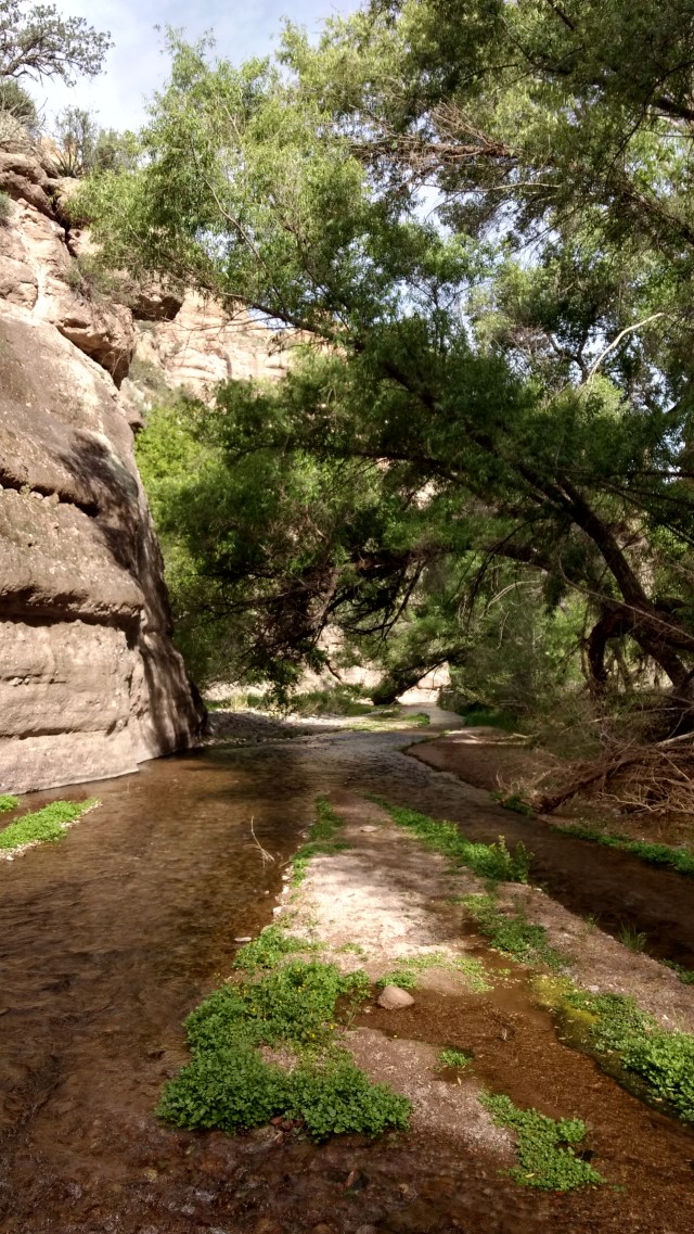 IMG_20170427_081842365_HDR