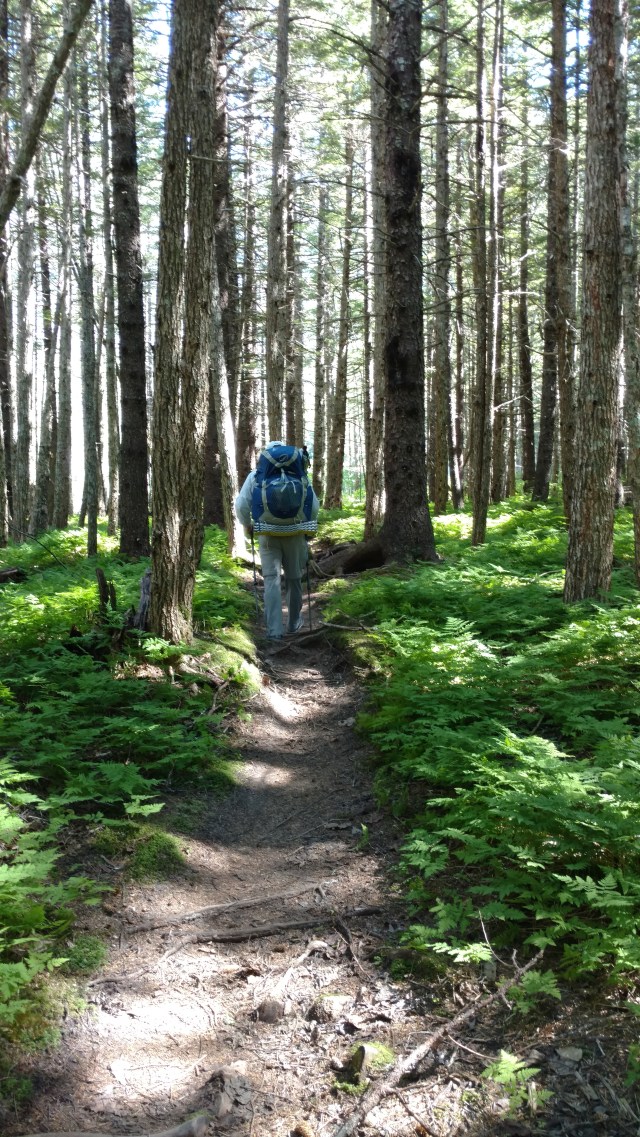 IMG_20170804_121523424