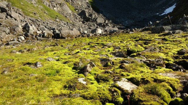 IMG_20170805_093131460