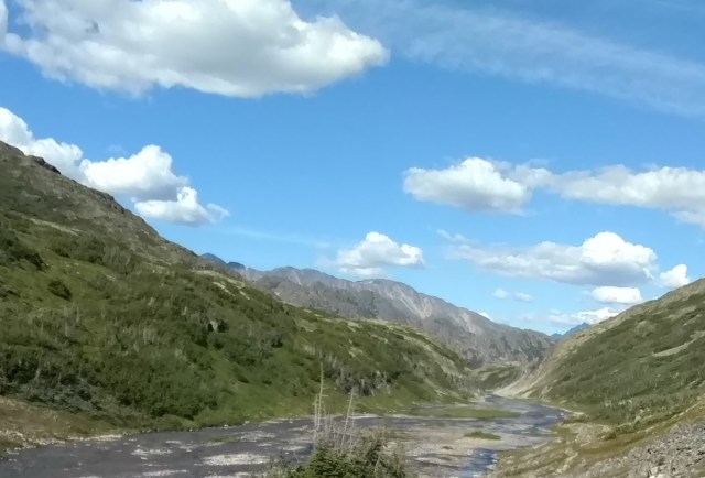 IMG_20170805_153428562 (3)