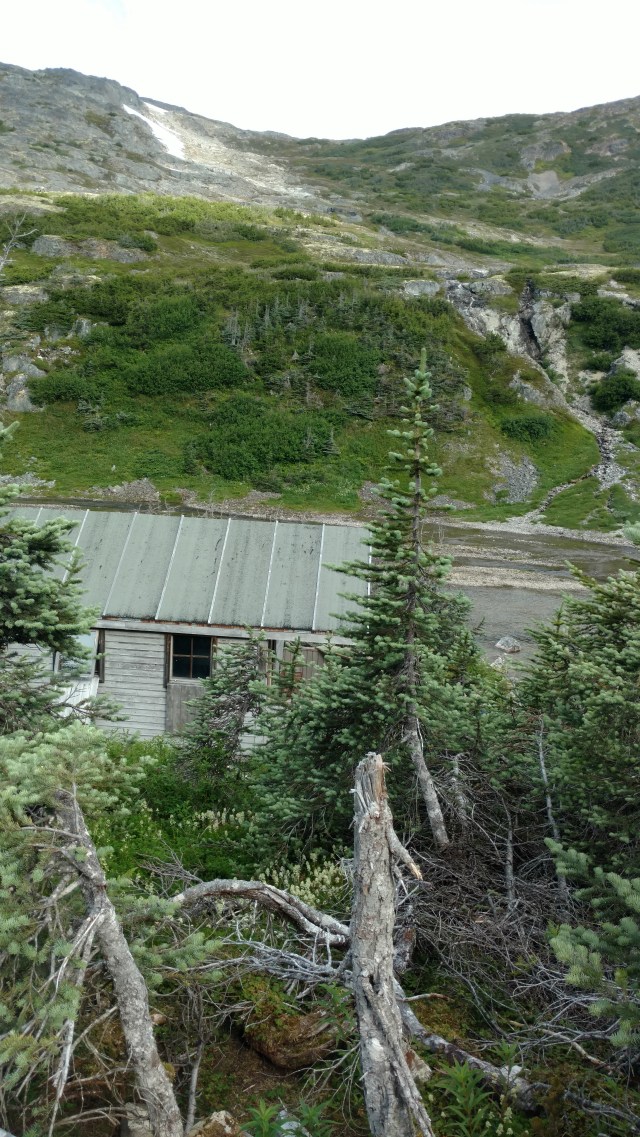 IMG_20170806_084602361