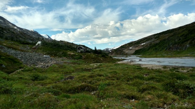 IMG_20170806_095235528_HDR