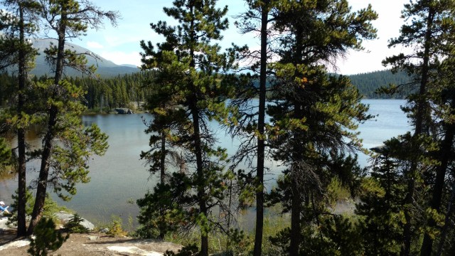 IMG_20170807_114332104