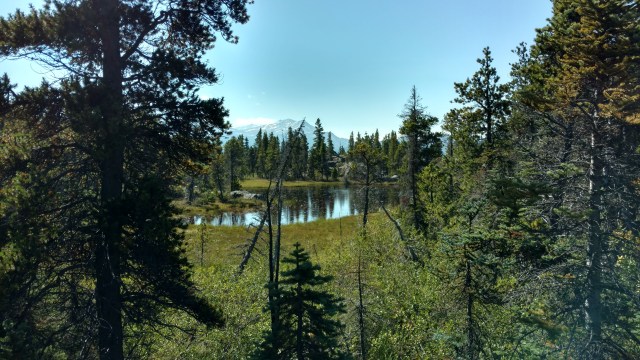 IMG_20170807_130211323_HDR