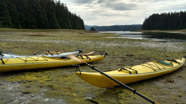 IMG_20170811_122613508_HDR (1)