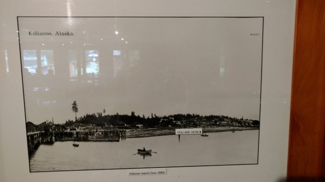 IMG_20170811_174510644 (1)