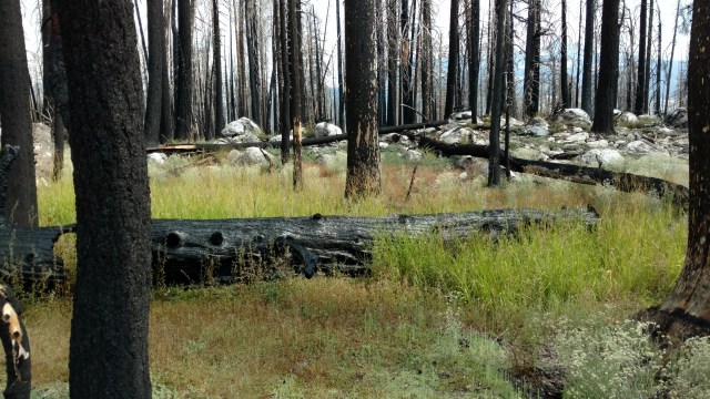 IMG_20170906_145022501