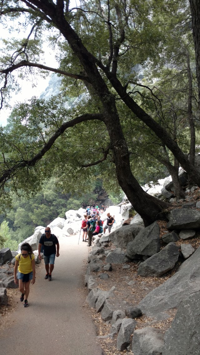 IMG_20170908_122116219