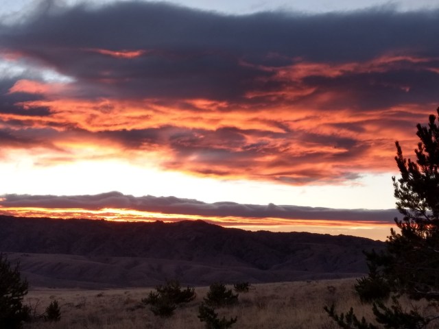 IMG_20171022_072446624_HDR