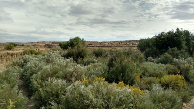 img_20180919_154443453_hdr