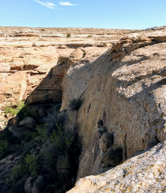 img_20180920_102331579_hdr