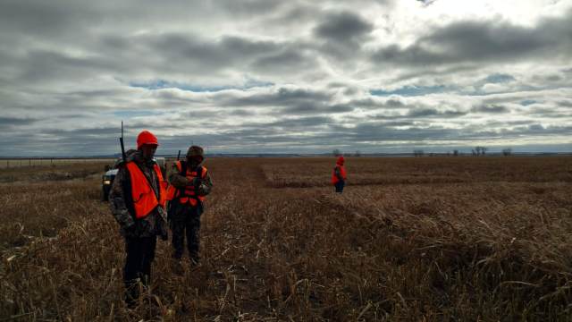 img_20181106_131602496_hdr