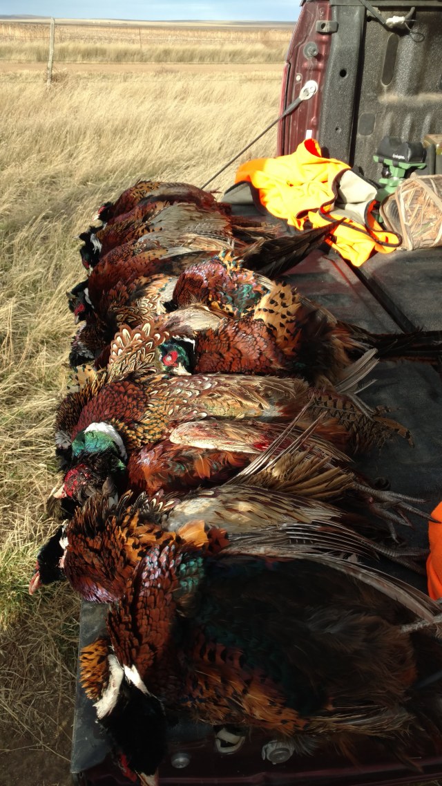 img_20181106_142751343