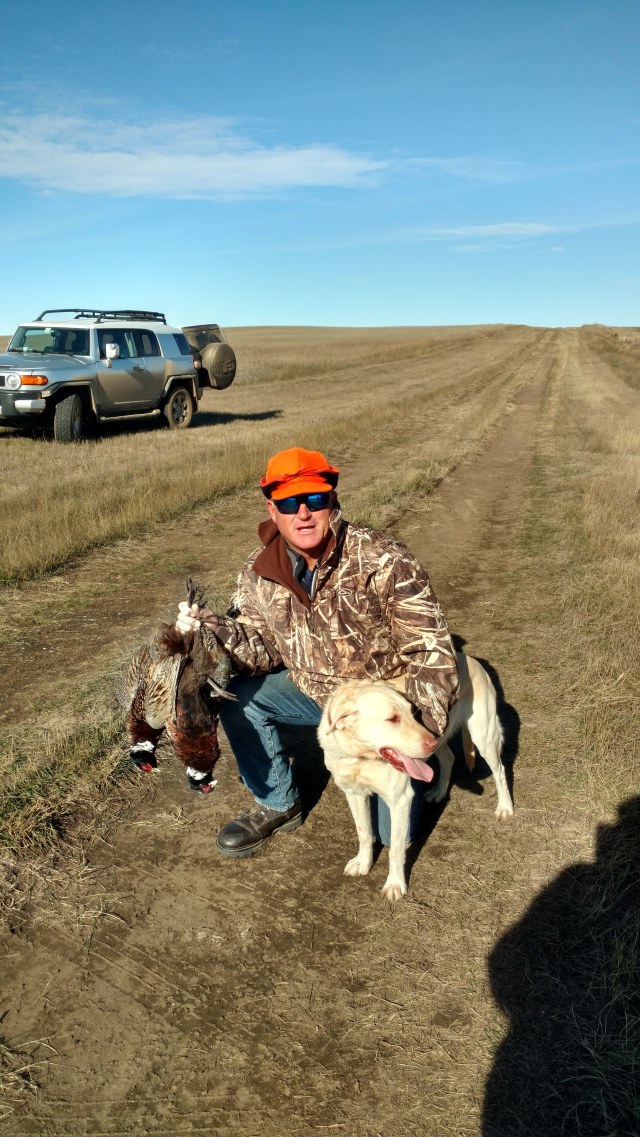 img_20181107_114538736_hdr