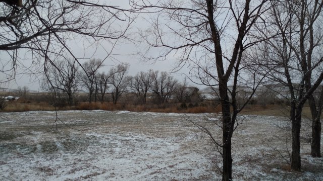 IMG_20181108_074124737