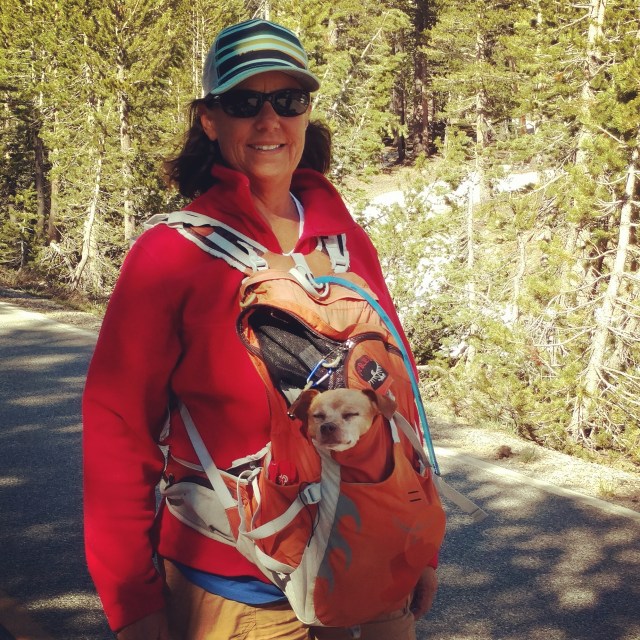 IMG_20170626_194939_431