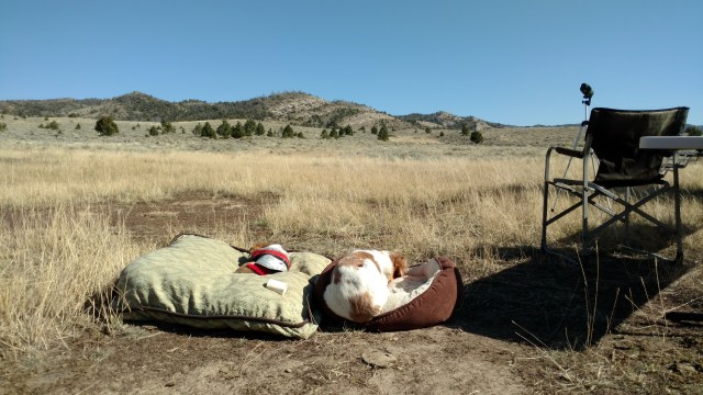 IMG_20171013_140411699