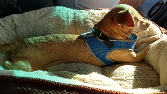 IMG_20171024_152056552_HDR