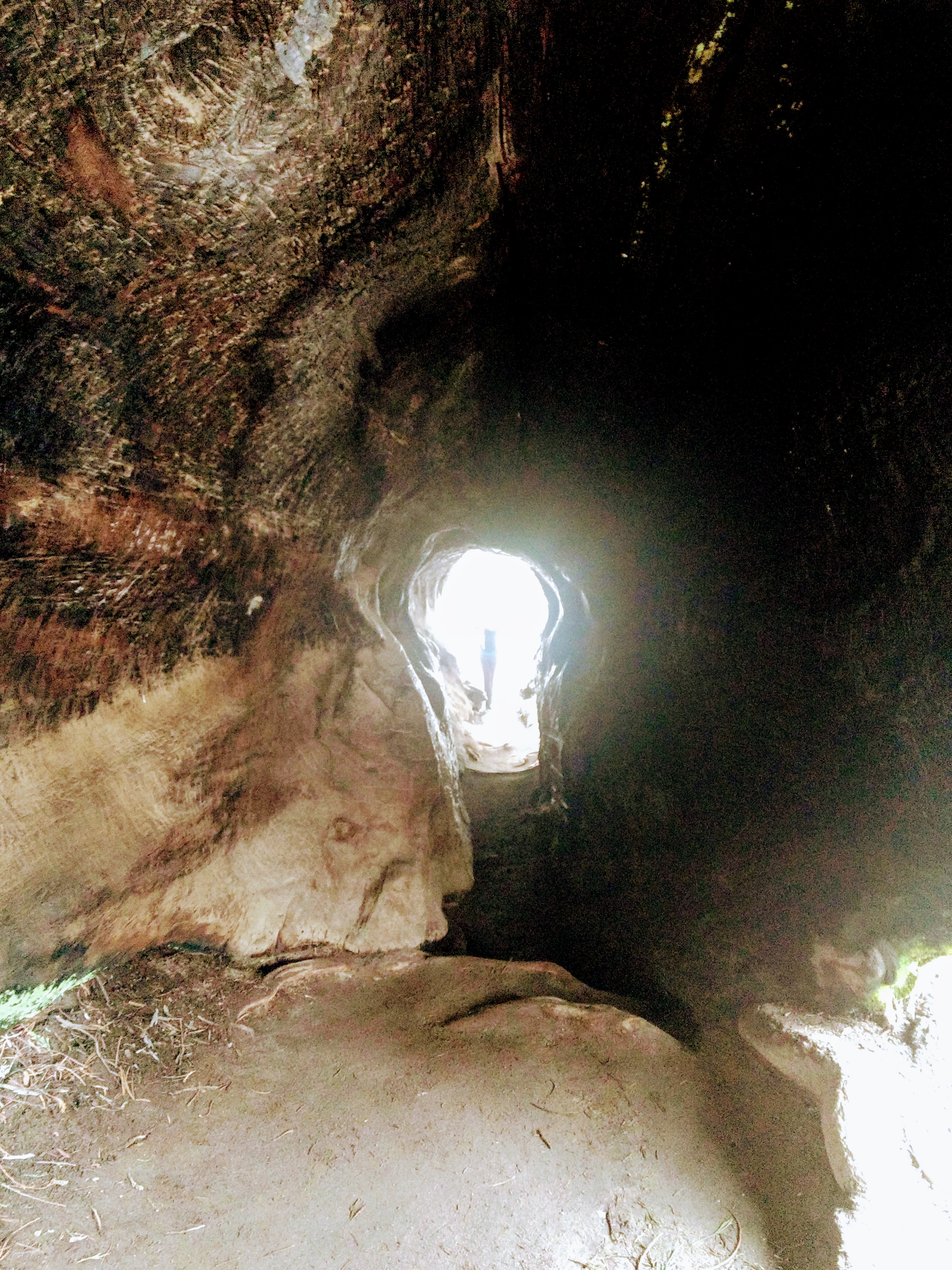 img_20190411_142319107_burst000_cover_top