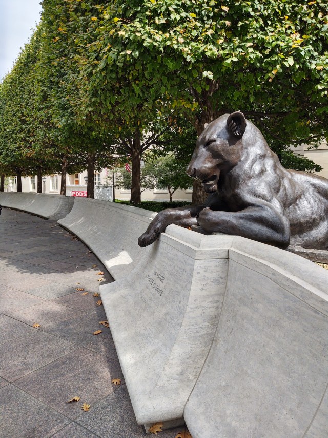 img_20191007_133150150_hdr