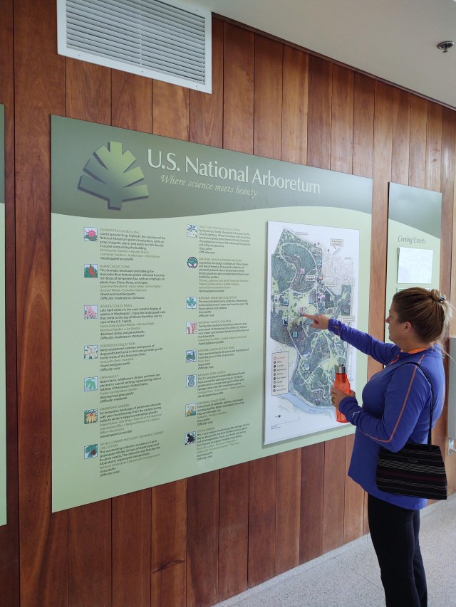 img_20191008_095930181